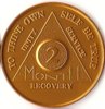 02 Months Sobriety Chip - Aluminium