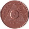 07 Months Sobriety Chip - Aluminium