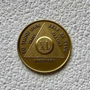 40 Years Sobriety Chip - Bronze